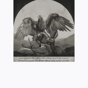 El Águila